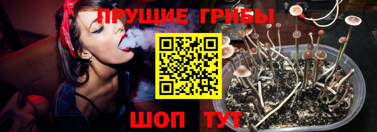 Псилоцибиновые грибы MAGIC MUSHROOMS  Псилоцибиновые грибы Psilocybe  Вход с VPN  Долгопрудный 